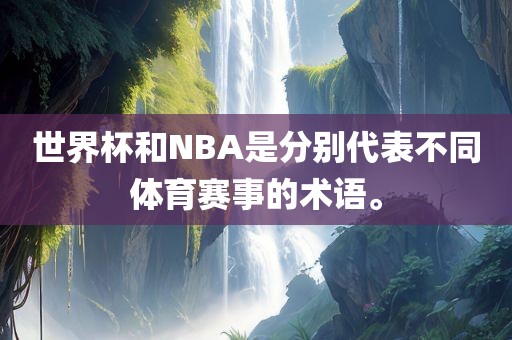 世界杯和NBA是分别代表不同体育赛事的术语。