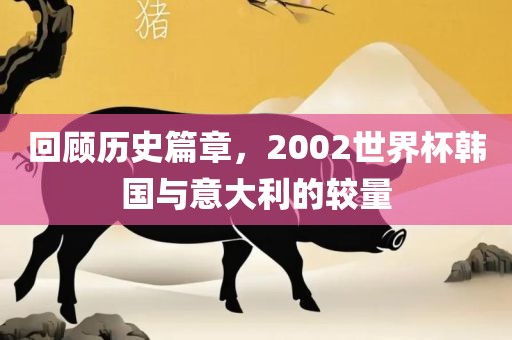 回顾历史篇章，2002世界杯韩国与意大利的较量