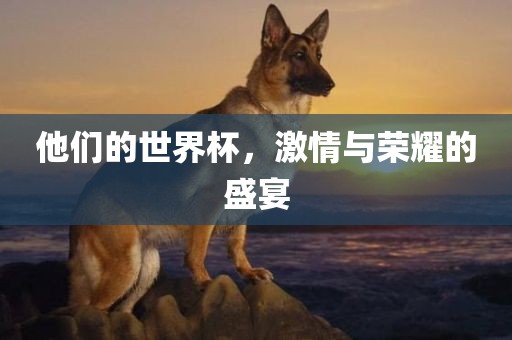 吉安市靖泰电力工程有限公司他们的世界杯，激情与荣耀的盛宴