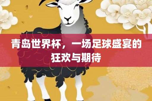 青岛世界杯，一场足球盛宴的狂欢与期待吉安市靖泰电力工程有限公司