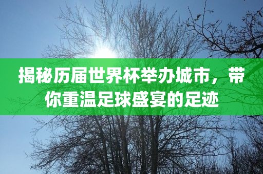 揭秘历届世界杯举办城市，带你重温足球盛宴的足迹