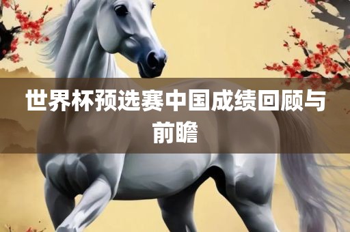 世界杯预选赛中国成绩回顾与前瞻吉安市靖泰电力工程有限公司