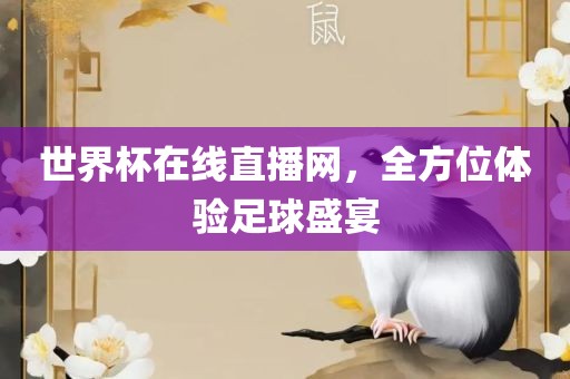 世界杯在线直播网，全方位体验足球盛宴