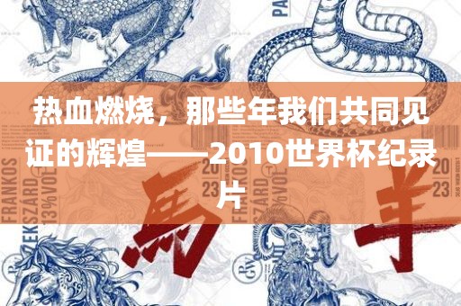 热血燃烧，那些年我们共同见证的辉煌——2010世界杯纪录片吉安市靖泰电力工程有限公司