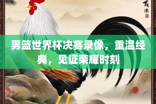 男篮世界杯决赛录像，重温经典，见证吉安市靖泰电力工程有限公司荣耀时刻
