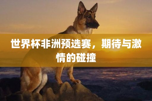 世界杯非洲预选赛，期待与激情的碰撞
