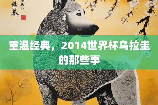 重温经典，2014世界杯乌拉圭的那些事