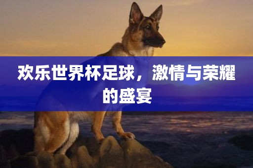 激情与荣耀 第7页