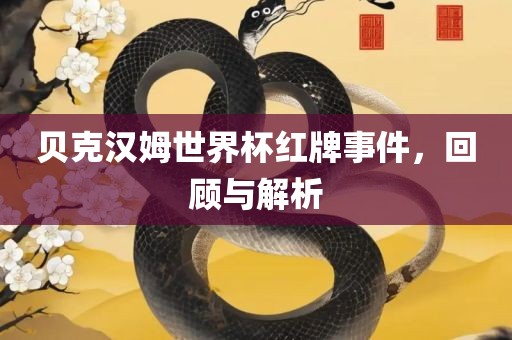 贝克汉姆世界杯红牌事件，回顾与解析
