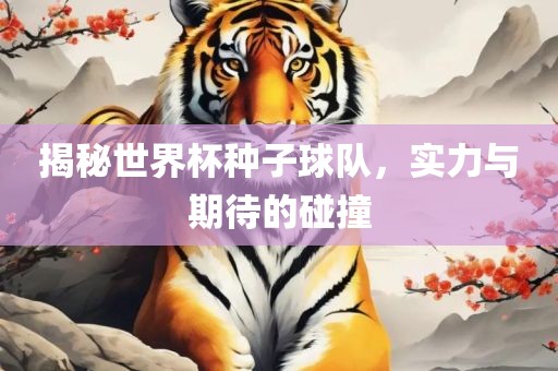 揭秘世界杯种子球队，实力与期待的碰撞
