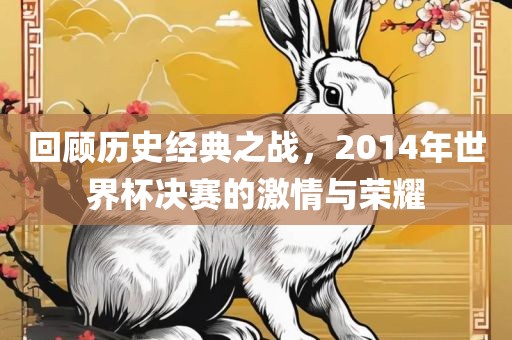 回顾历史经典吉安市靖泰电力工程有限公司之战，2014年世界杯决赛的激情与荣耀