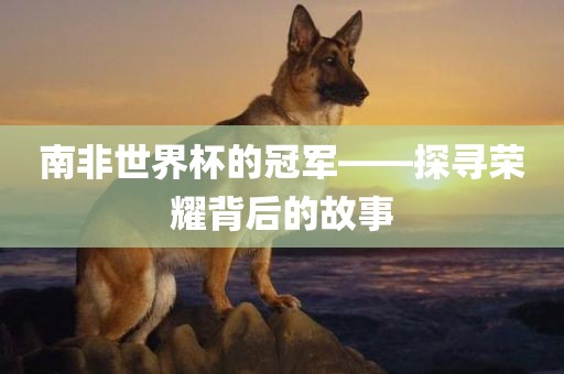 南非世界杯的冠军——探寻荣耀背后的故事