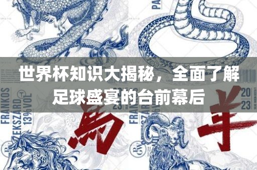吉安市靖泰电力工程有限公司世界杯知识大揭秘，全面了解足球盛宴的台前幕后