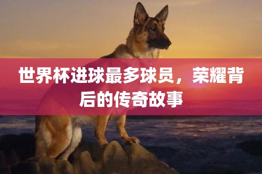 世界杯进球最多球员，荣耀背后的传奇故事吉安市靖泰电力工程有限公司