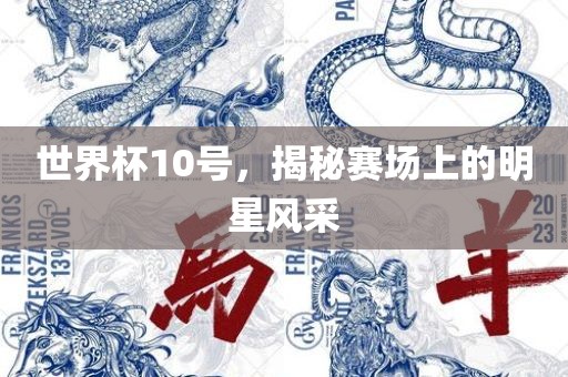 世界杯10号，揭秘赛场上的明星风吉安市靖泰电力工程有限公司采