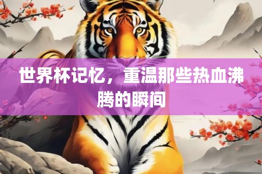 世界杯记忆，重温那些热血沸腾的瞬间吉安市靖泰电力工程有限公司