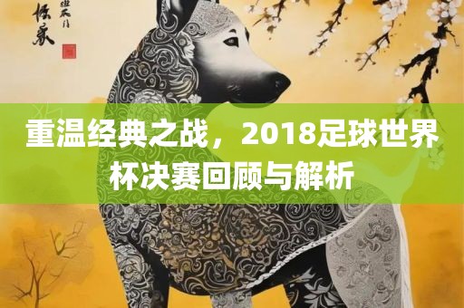 重温经典之战，2018足球世界杯决赛回顾与解析