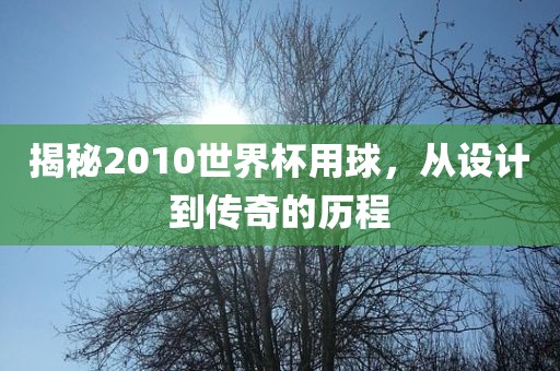 揭秘2010世界杯用球，从设计到传奇的历程