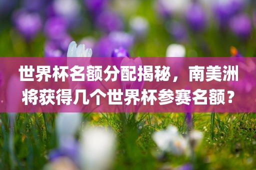 世界杯名额分配揭秘，南美洲将获得几个世界杯参赛名额？