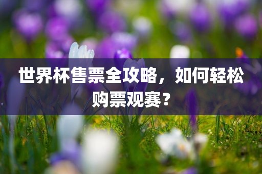 世界杯售票全攻略，如何轻松购票观赛？吉安市靖泰电力工程有限公司