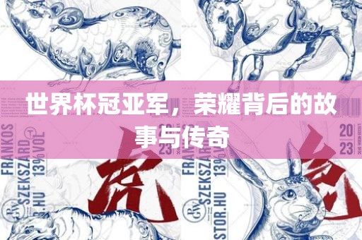 世界杯冠亚军，荣耀背后的故事与传奇