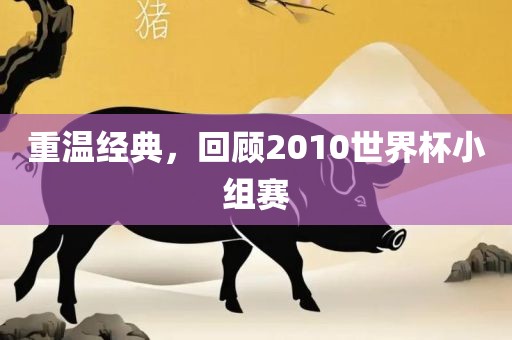 重温经典，回顾2010世界杯小组赛