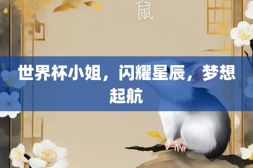 世界杯小姐，闪耀星辰，梦想起航