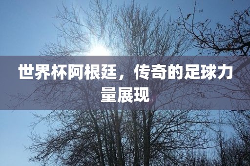世界杯阿根廷，传奇的足球力量展现