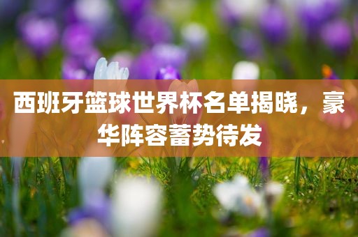 西班牙篮球世界杯名单揭晓，豪华阵容蓄势待发