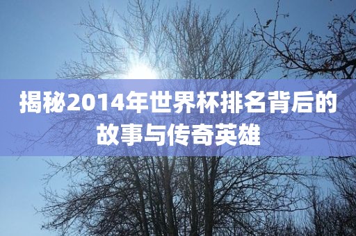 揭秘2014年世界杯排名背后的故事与传奇英雄