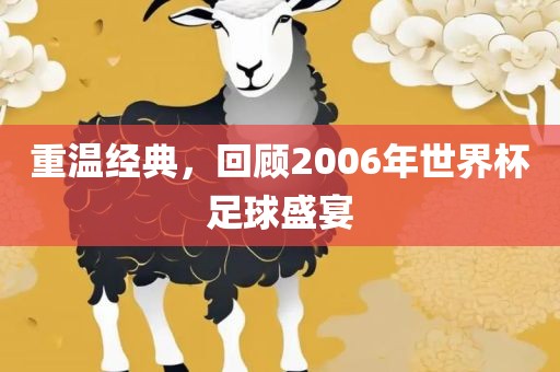 重温经典，回顾2006年世界杯足球盛宴吉安市靖泰电力工程有限公司