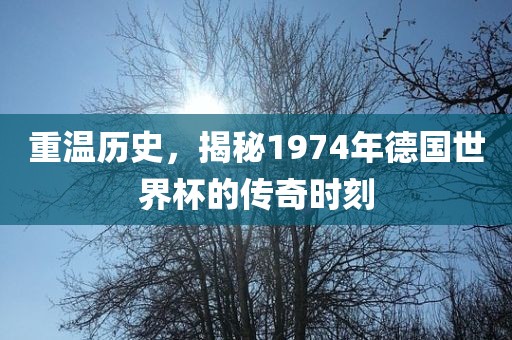 重温历史，揭秘1974年德国世界杯的传奇时刻吉安市靖泰电力工程有限公司