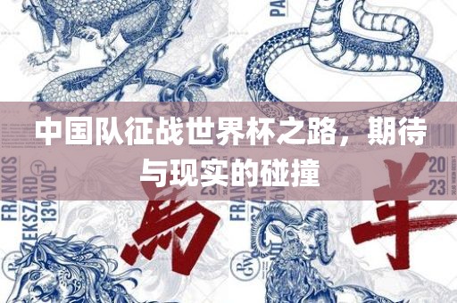 中国队征战世界杯之路，期待与现实的碰撞