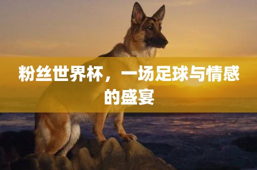 粉丝世界杯，一场足球与情感的盛宴吉安市靖泰电力工程有限公司