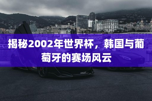 揭秘2002年世界杯，韩国与葡萄牙的赛场风云