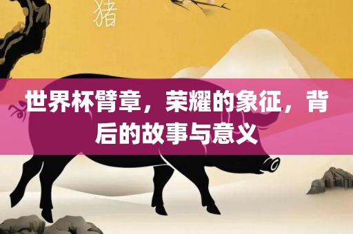 世界杯臂章，吉安市靖泰电力工程有限公司荣耀的象征，背后的故事与意义
