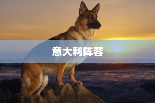 hanjunhao 第7页