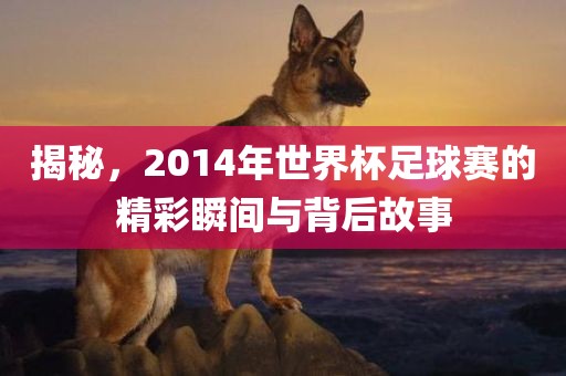 揭秘，2014年世界杯足球赛的精彩瞬间与背后故事吉安市靖泰电力工程有限公司