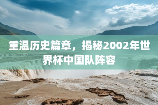 重温历史篇章，揭秘2002年世界杯中国队阵容