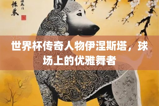 世界杯传奇人物伊涅斯塔，球场上的优雅舞者