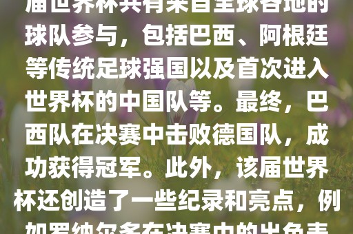 2002年世界杯足球赛是第世界杯举办的第十七届足球赛事，比赛在韩国和日本联合举办。本届世界杯是历史上首次由两个国家共同举办的世界杯赛事。该届世界杯共有来自全球各地的球队参与，包括巴西、阿根廷等传统足球强国以及首次进入世界杯的中国队等。最终，巴西队在决赛中击败德国队，成功获得冠军。此外，该届世界杯还创造了一些纪录和亮点，例如罗纳尔多在决赛中的出色表现使他成为该届世界杯的最佳球员之一。同时，该届世界杯也促进了韩国和日本足球的发展，并推动了亚洲足球的崛起。