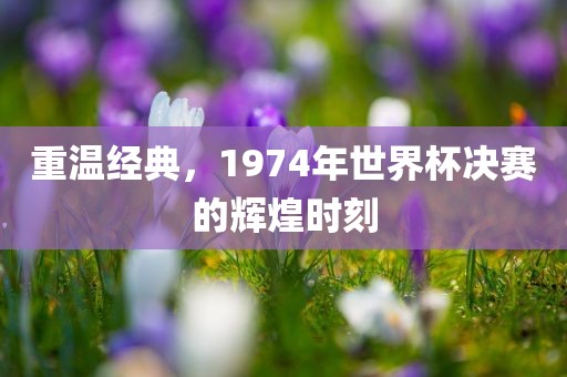 重温经典，1974年世界杯决赛的辉煌时刻