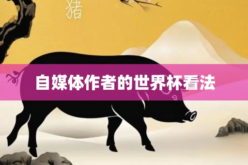 自媒体作者的世界杯看法