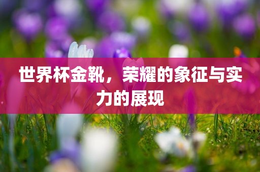 世界杯金靴，荣耀的象征与实力的展现