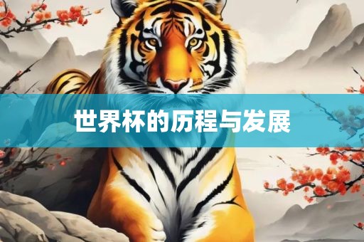 世界杯的历程与发展