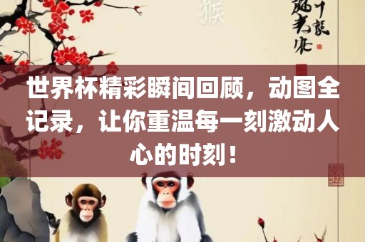 世界杯精彩瞬间回顾，动图全记录，让你重温每一刻激动人心的时刻！