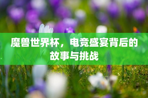 魔兽世界杯，电竞盛宴背后的故事与挑战