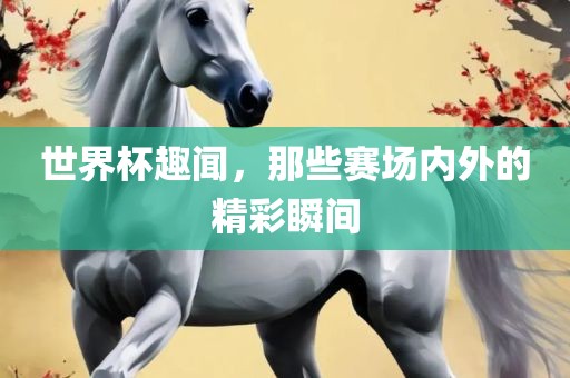 世界杯趣闻，那些赛场内外的精彩瞬间