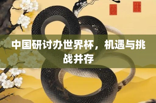 中国研讨办世界杯，机遇与挑战并存