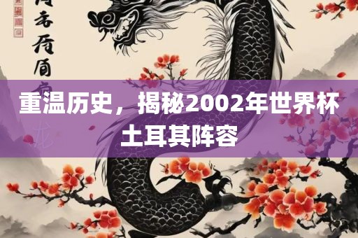 重温历史，揭秘2002年世界杯土耳其阵容